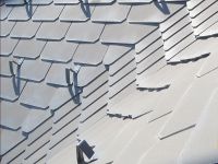 Logo Schneeschutz / Schneefänger Dachdecker & Spengler Schachner - Graz Umgebung