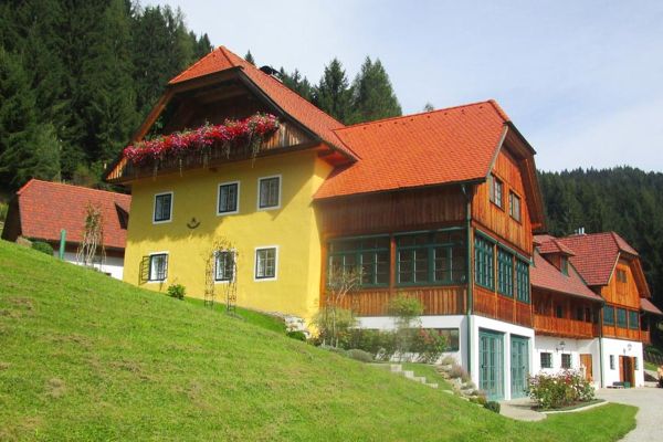 Dachsanierung - Privathaus Eppenstein - Biber DD Naturrot + Landdach VZ Engobe Antik