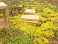 Logo Gründach Spengler und Bauwerksabdichter WHS - Gleisdorf